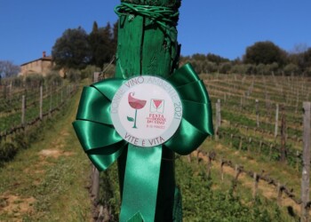 LA VITE SIMBOLO DI RINASCITA E DI SOSTENIBILITÀ PER LA FESTA DELLE DONNE DEL VINO 2021