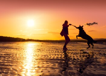 Leishmania, conosciamola meglio: tutto quello che c’è da sapere per proteggere il nostro amico a quattro zampe