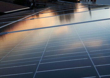 Peperoncino e magnesio: il mondo del fotovoltaico evolve con l’aiuto della natura