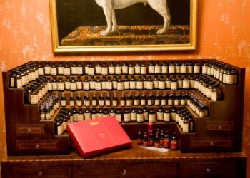 Rinnovo partnership: FONDAZIONE MUSEI CIVICI VENEZIA e MAVIVE