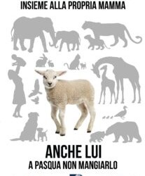 CROLLANO LE VENDITE DEGLI AGNELLI DESTINATI A FINIRE NEL PIATTO E NON SOLO PER IL  LOCKDOWN