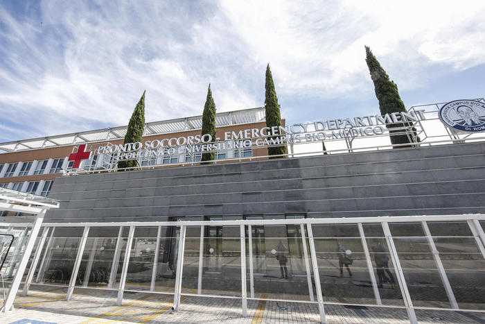 Covid:scoprire positivi da sudore, al via progetto con cani