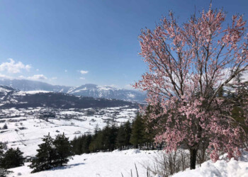 Crollo ulteriore delle temperature, arrivano anche GELATE tardive