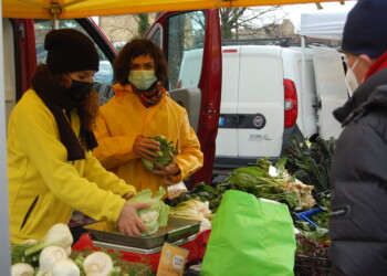 Coldiretti Marche, arriva il tutor per i giovani che puntano su agricoltura e difesa dell’ambiente: +20% negli ultimi 10 anni