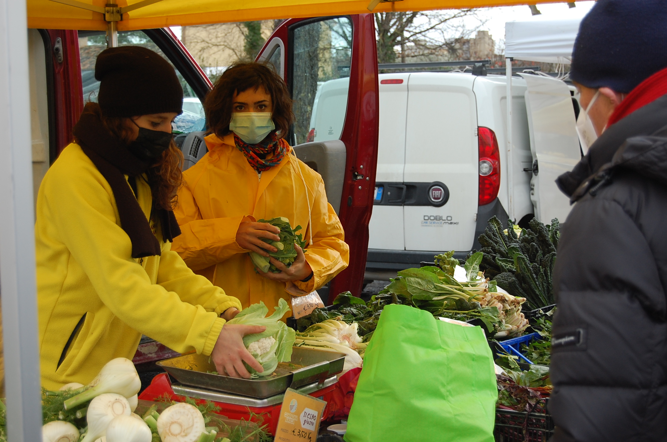 Coldiretti Marche, arriva il tutor per i giovani che puntano su agricoltura e difesa dell’ambiente: +20% negli ultimi 10 anni