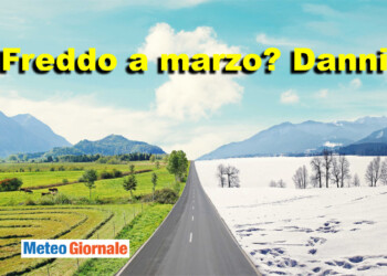 Il freddo tardivo, di marzo o aprile, può fare molti danni