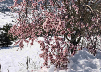 Meteo completamente sconvolto, la primavera è stata rispedita indietro