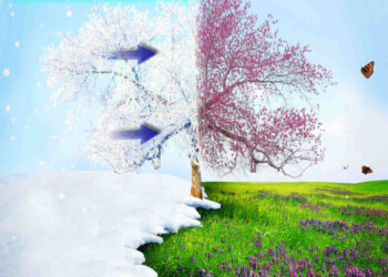 Meteo Europa, cambia tutto! Ritorno d’inverno e dietrofront della primavera