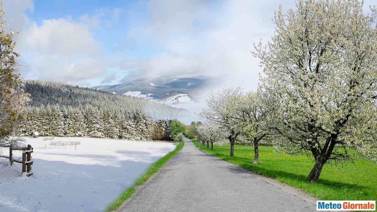 La neve sugli alberi in fiore. Scenario frequente anche in pianura