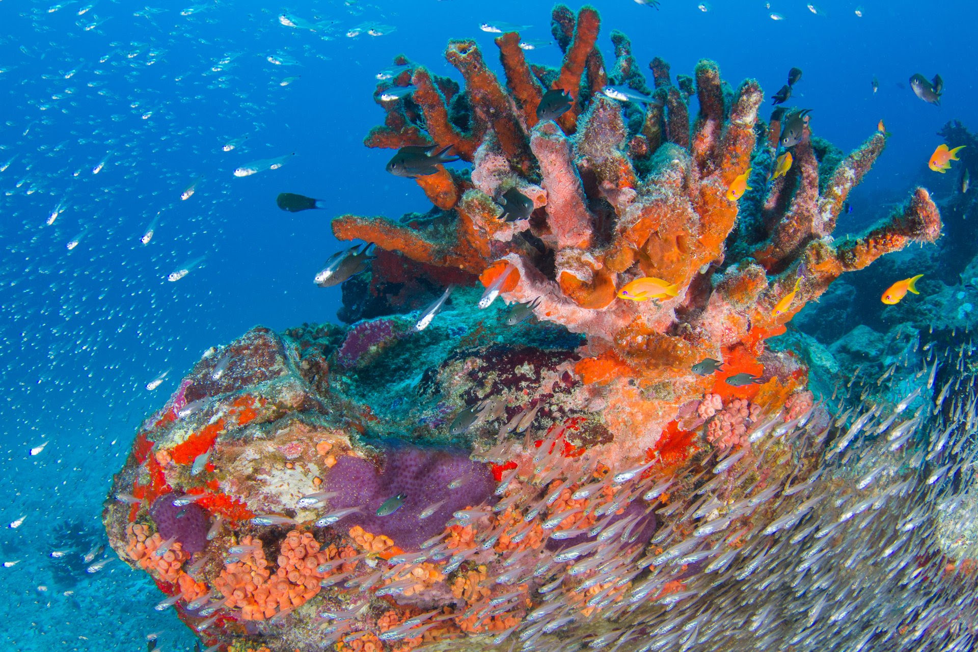 SEYCHELLES: ATTIVITÀ ESCLUSIVE A CONTATTO CON LA NATURA