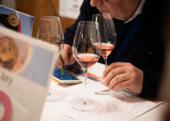 VINO ROSATO: FASHION, VERSATILE E SIMBOLO DI CONVIVIALITÁ, SPOPOLA NEL MONDO GRAZIE ALLA FAMA DEL BRAND