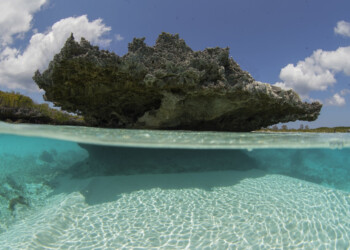 ALDABRA, UNO DEI LUOGHI PIÙ SUGGESTIVI AL MONDO