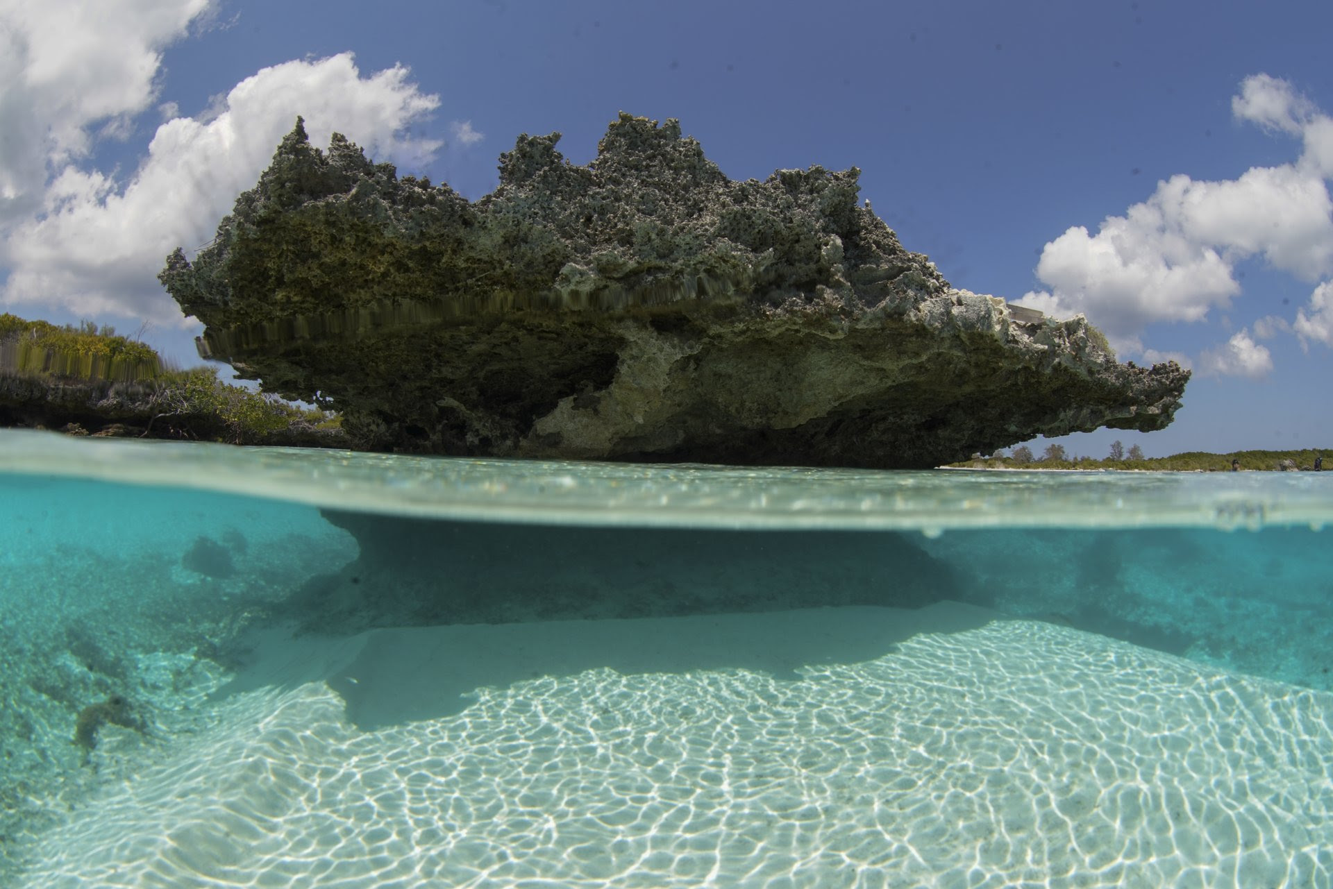 ALDABRA, UNO DEI LUOGHI PIÙ SUGGESTIVI AL MONDO