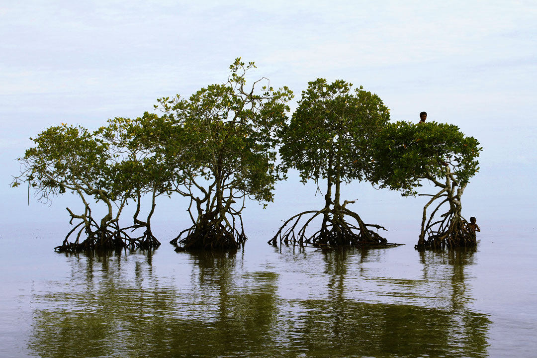 51ESIMA GIORNATA DELLA TERRA: Evento on line per le scuole medie