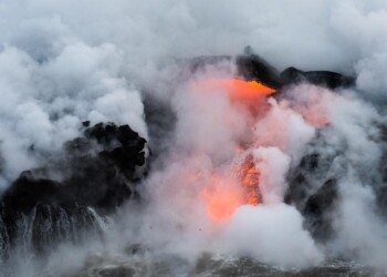 Il Margutta – “Fragile”, dal 13 maggio la bellezza della Natura, magica e delicata, nelle fotografie di Barbara Dall’Angelo