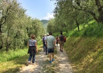 MAGGIO, AL VIA GEMME DI GUSTO SULLA STRADA DEL VINO E DEI SAPORI DEL TRENTINO