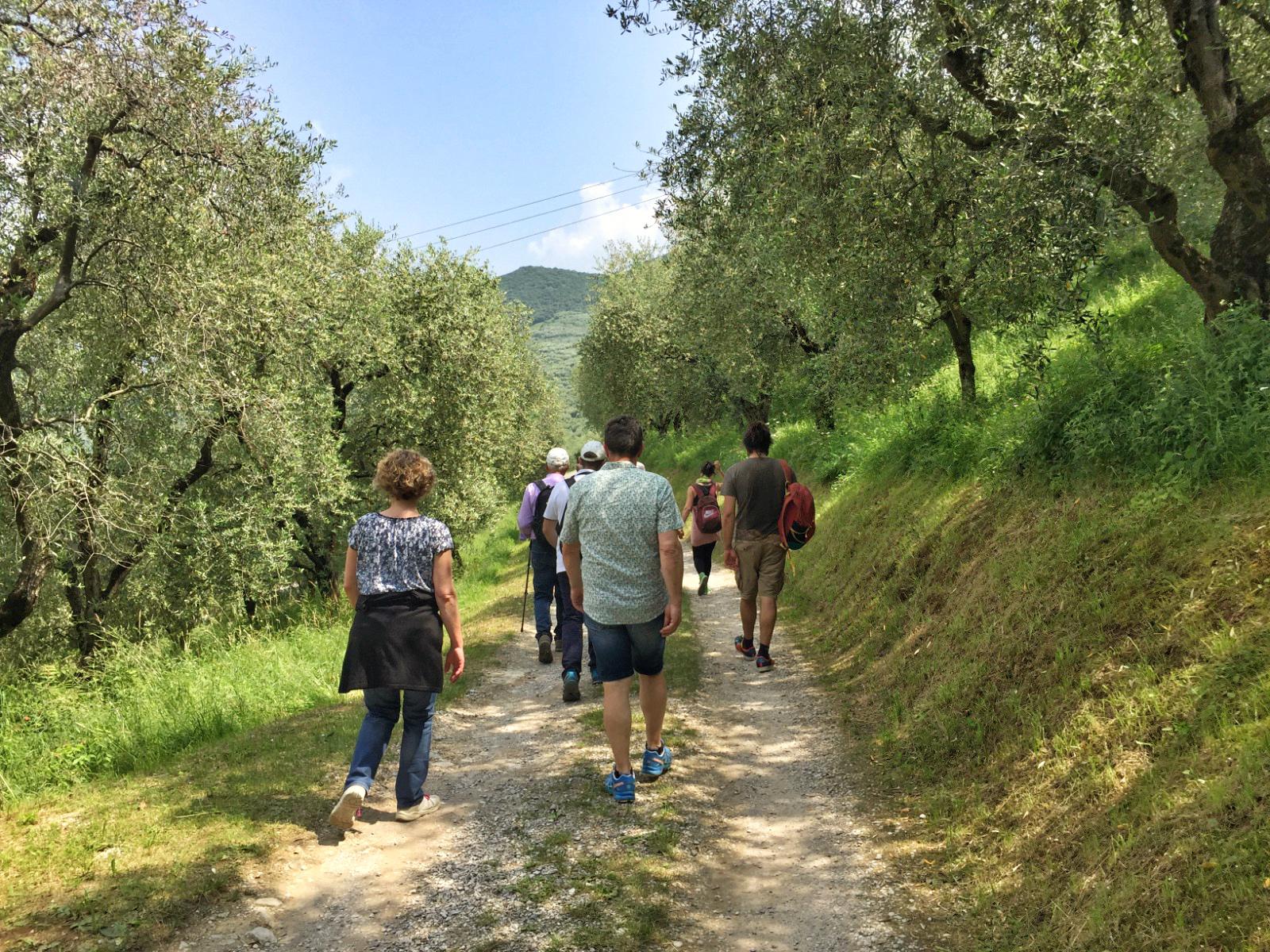 MAGGIO, AL VIA GEMME DI GUSTO SULLA STRADA DEL VINO E DEI SAPORI DEL TRENTINO