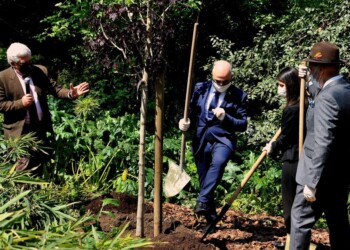 AL BIOPARCO UN NUOVO ALBERO PER IL FUTURO