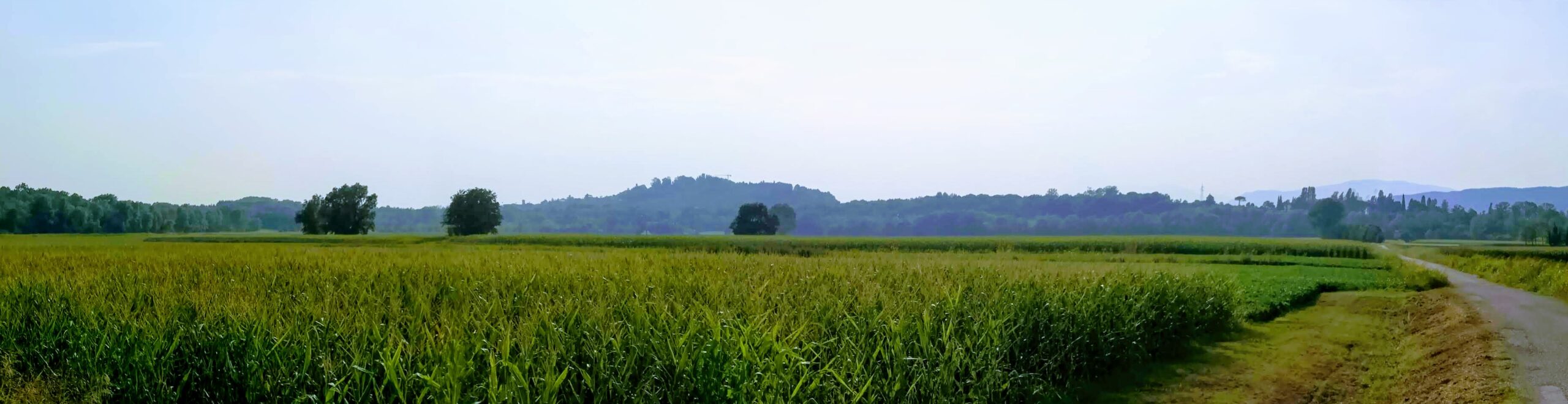 GIORNATA MONDIALE DELLA TERRA, CONFAGRICOLTURA: IL NOSTRO SETTORE IN PRIMA LINEA PER LA SALVAGUARDIA DEL PIANETA
