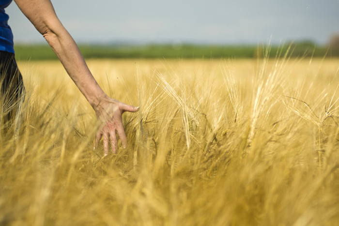 Campus Peroni, obiettivo mettere sostenibilità in blockchain