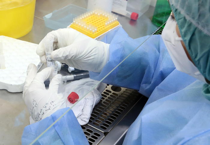 Covid: Marche, 406 positivi in 24ore, 16,8% nuove diagnosi