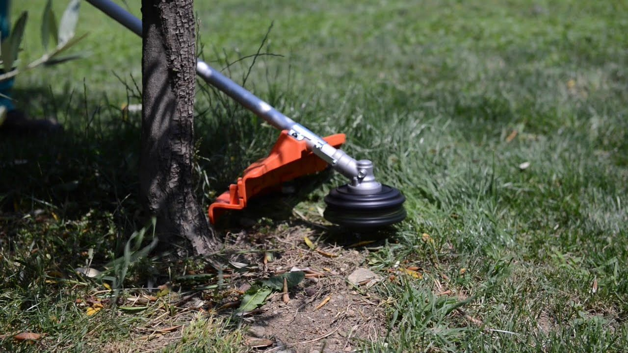Cura del giardino: dal decespugliatore a batteria al trattore rasaerba