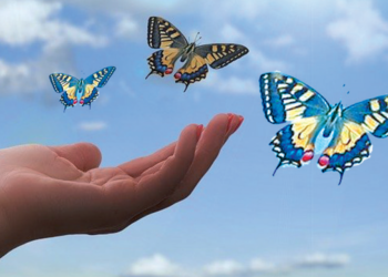 FARFALLE DI VITA : Per gustare  il mistero della Pasqua di risurrezione di Gesù