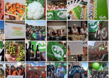 Puglia, è l’agricoltura il più grande datore di lavoro della regione