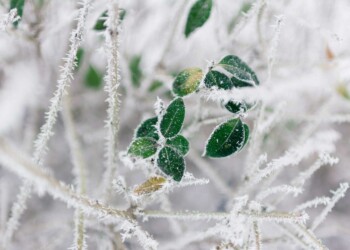Gelo polare in pieno aprile, temperature eccezionali con picchi record