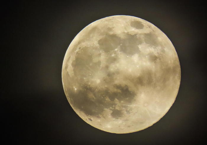 Guerre stellari, scontro fra Bezos e Musk per la Luna