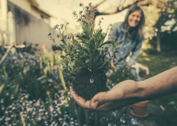 Primavera in… giardino: i consigli di WOLF-Garten per la stagione della semina