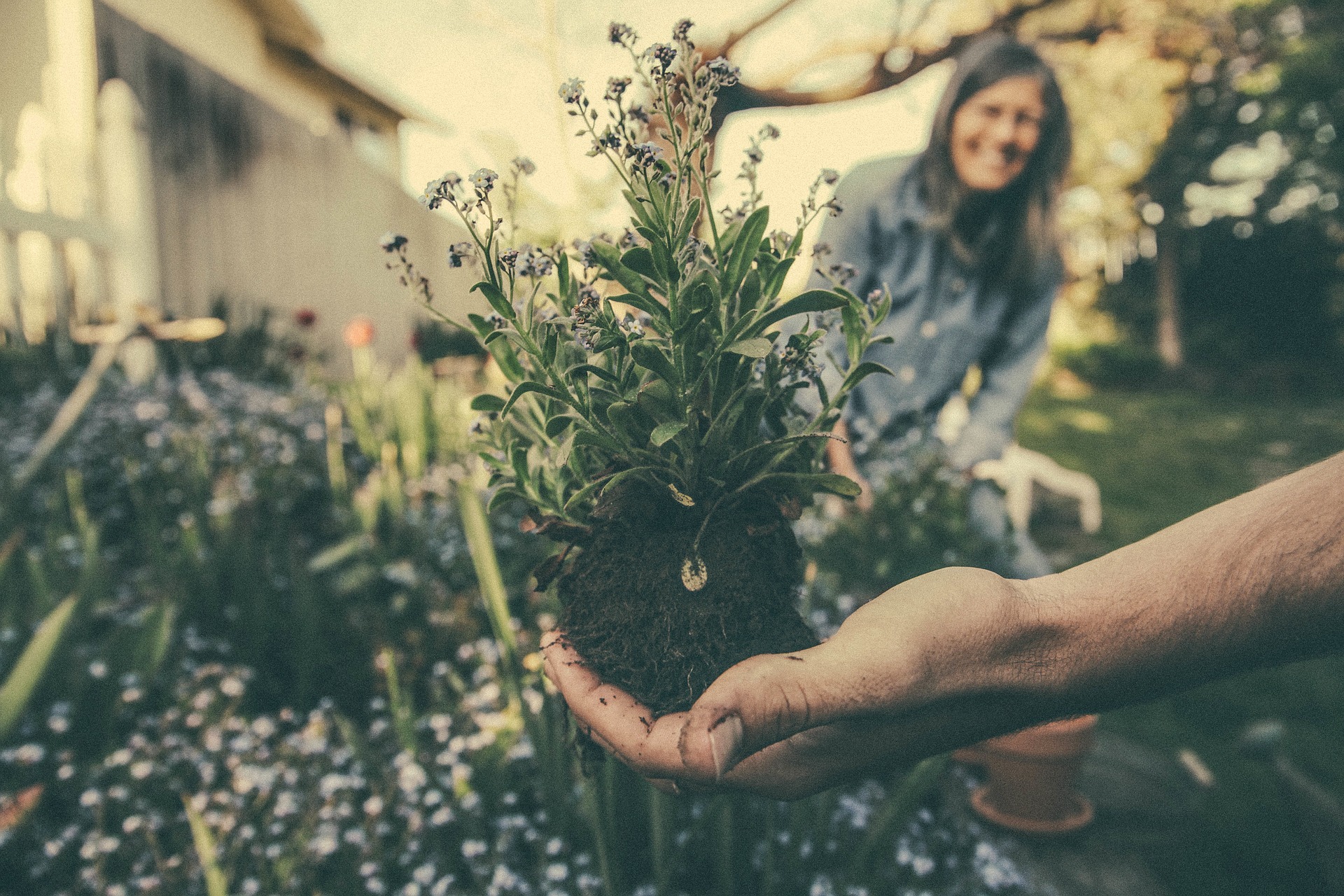 Primavera in… giardino: i consigli di WOLF-Garten per la stagione della semina