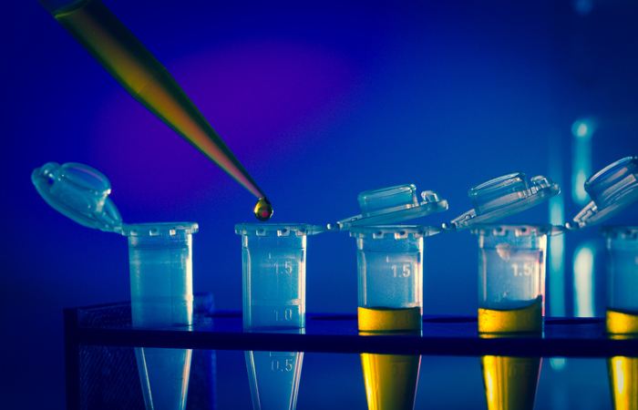 In Italia 5800 persone l’anno con mieloma multiplo