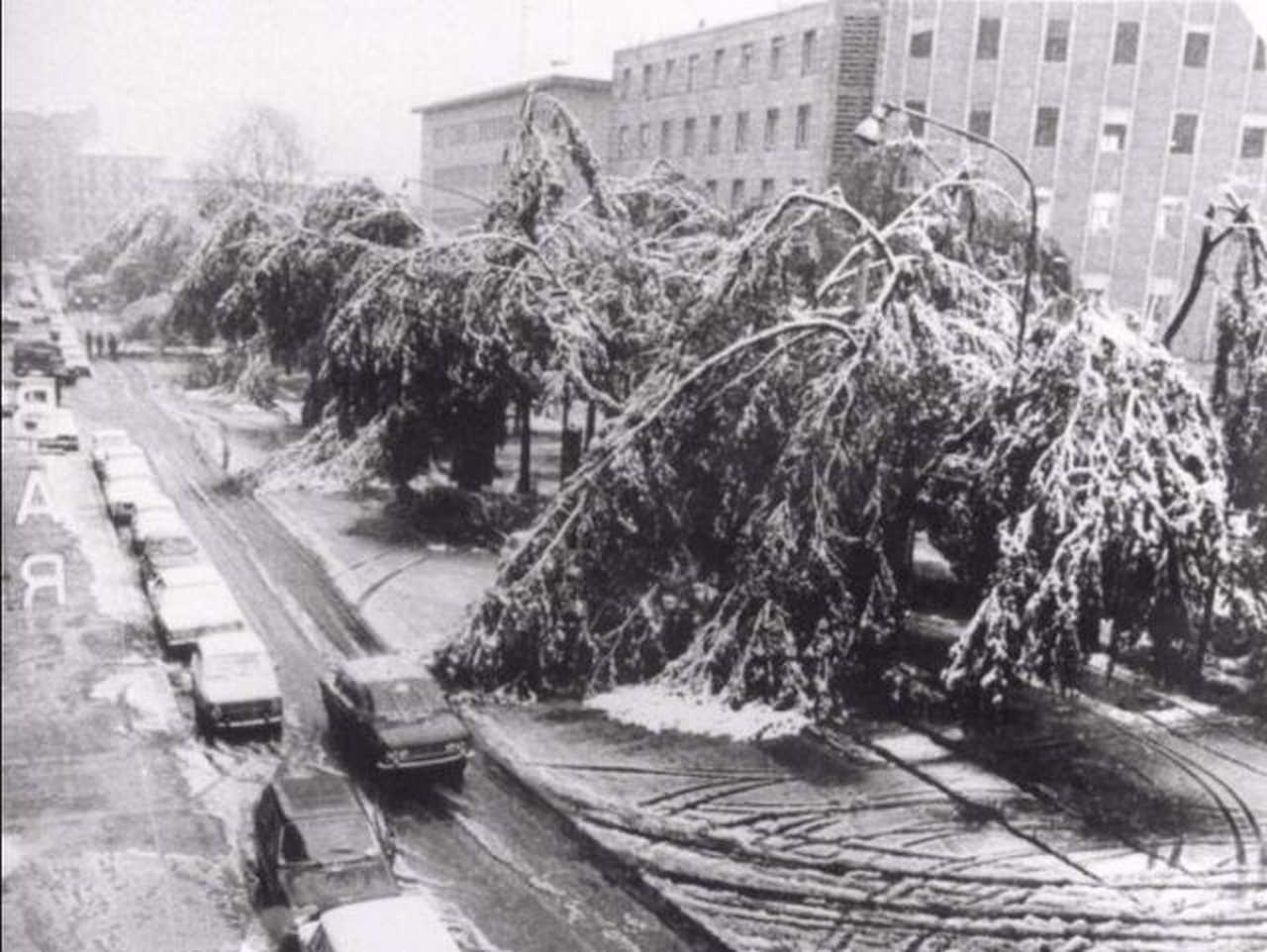 Torino il 27 Ottobre 1979, questa è la nevicata più precoce.