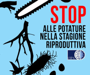 POTATURE E SFALCI UCCIDONO I NIDIACEI. L’OIPA ALLE AMMINISTRAZIONI: «RISPETTATE LA BIODIVERSITÀ»