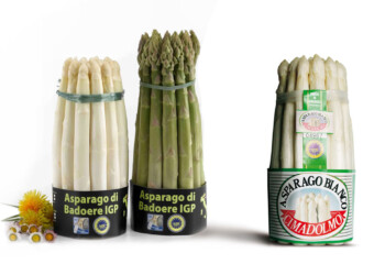 A PRIMAVERA GERMOGLIA LA FANTASIA!