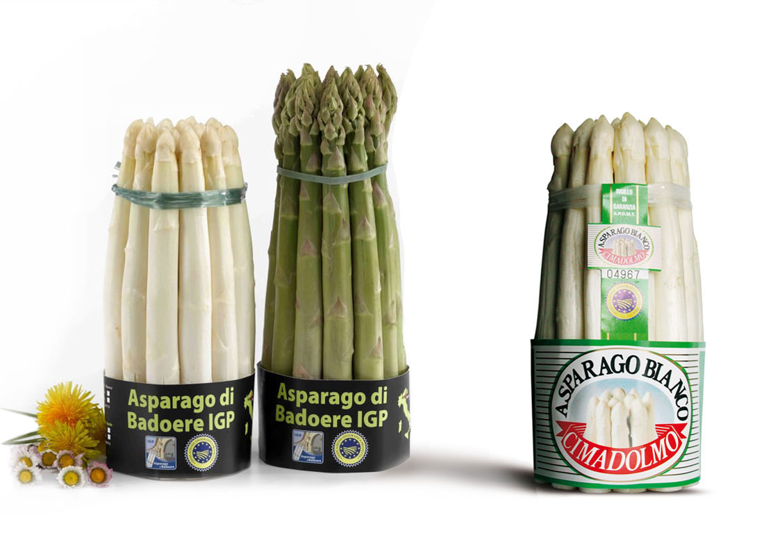 A PRIMAVERA GERMOGLIA LA FANTASIA!