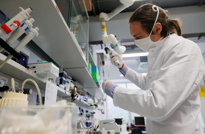 Sla,trovata una spia molecolare nei vasi sanguigni cerebrali