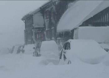 Tempeste di neve in varie città del Nord America. Video
