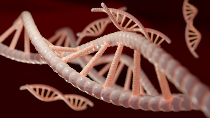 Effetto colesterolo su rischio cuore dipende anche dai geni