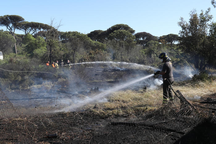 Fiamme nella pineta di Castel Fusano a Ostia,colonna di fumo