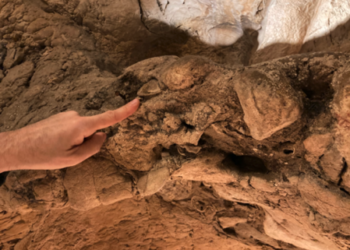 Le ricerche dell’INGV sulla costa laziale per la recente scoperta dei reperti Neandertaliani del Circeo