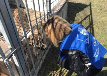 DIECI MILIONI DI EURO DALLO STATO AGLI ENTI LOCALI IN DISSESTO PER LA MESSA A NORMA DEI RIFUGI