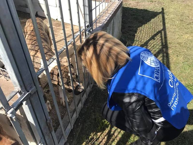 DIECI MILIONI DI EURO DALLO STATO AGLI ENTI LOCALI IN DISSESTO PER LA MESSA A NORMA DEI RIFUGI