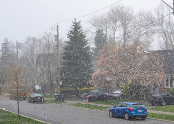 TORONTO, dai 30 gradi alla neve di fine Maggio. Meteo RECORD