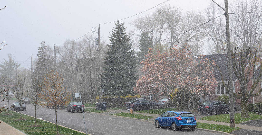 Neve a Toronto il 28 maggio 2021.