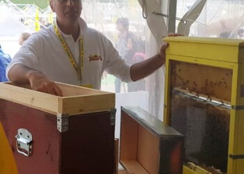 Allarme Coldiretti: “Meteo pazzo, apicoltori costretti a nutrire gli alveari”