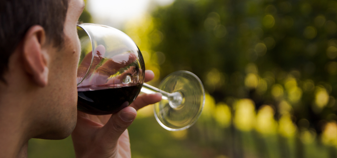 MOVIMENTO TURISMO DEL VINO RADDOPPIA: CANTINE APERTE + VIGNETI APERTI = BENTORNATA PASSIONE
