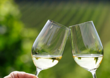 Al via Cantine Aperte 2021, grande attesa per l’evento più amato dai winelover