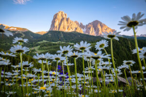 val gardena